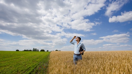 Wassermanagement in der Bodenbearbeitung