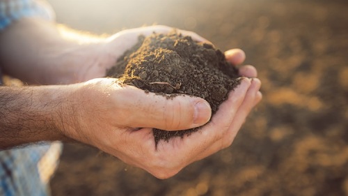 Best soil: Success factors for the best soil