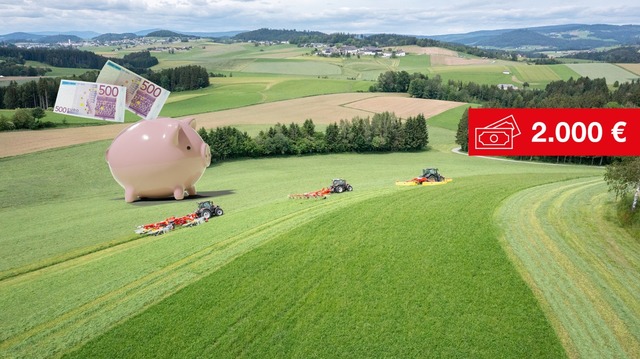 Top Deals Heugeräte