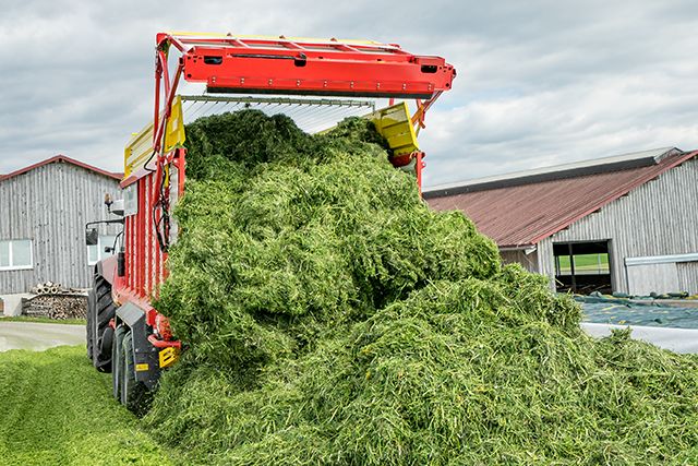 The best silage quality
