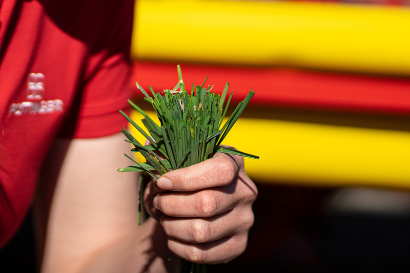 Beste Schnittqualität