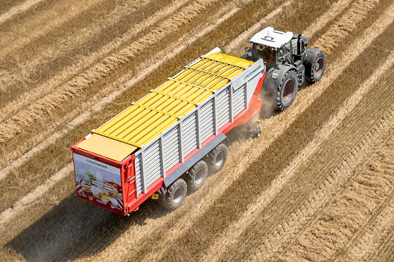 Dry Forage Cover