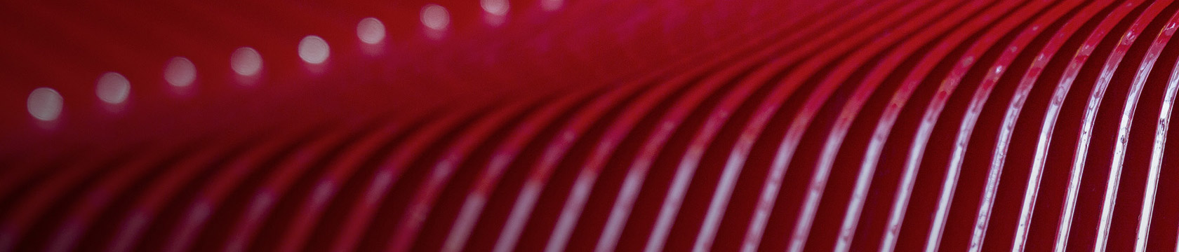 Die Zukunft im Fokus